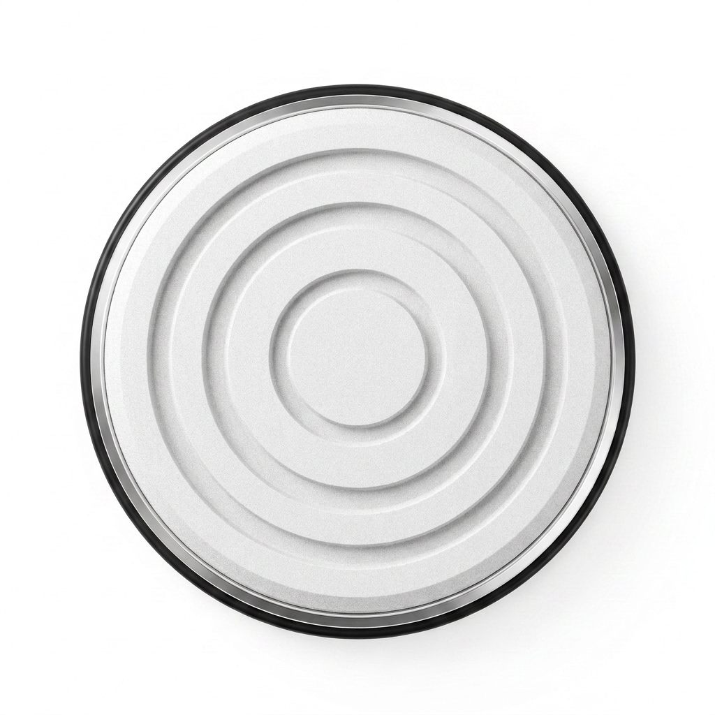 Hatori Kasumi 霞 Series – Polishing Disc, photo 3