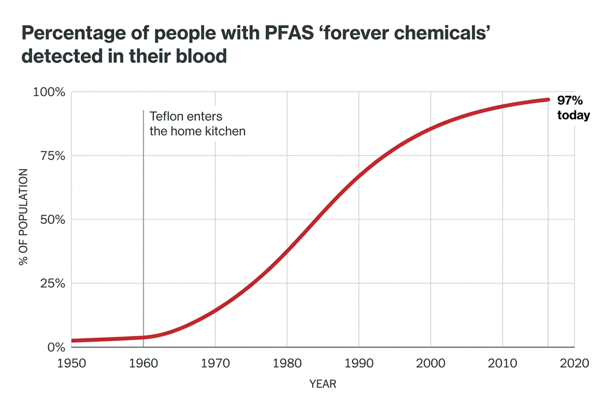 The long-term damage is far more alarming than most realize