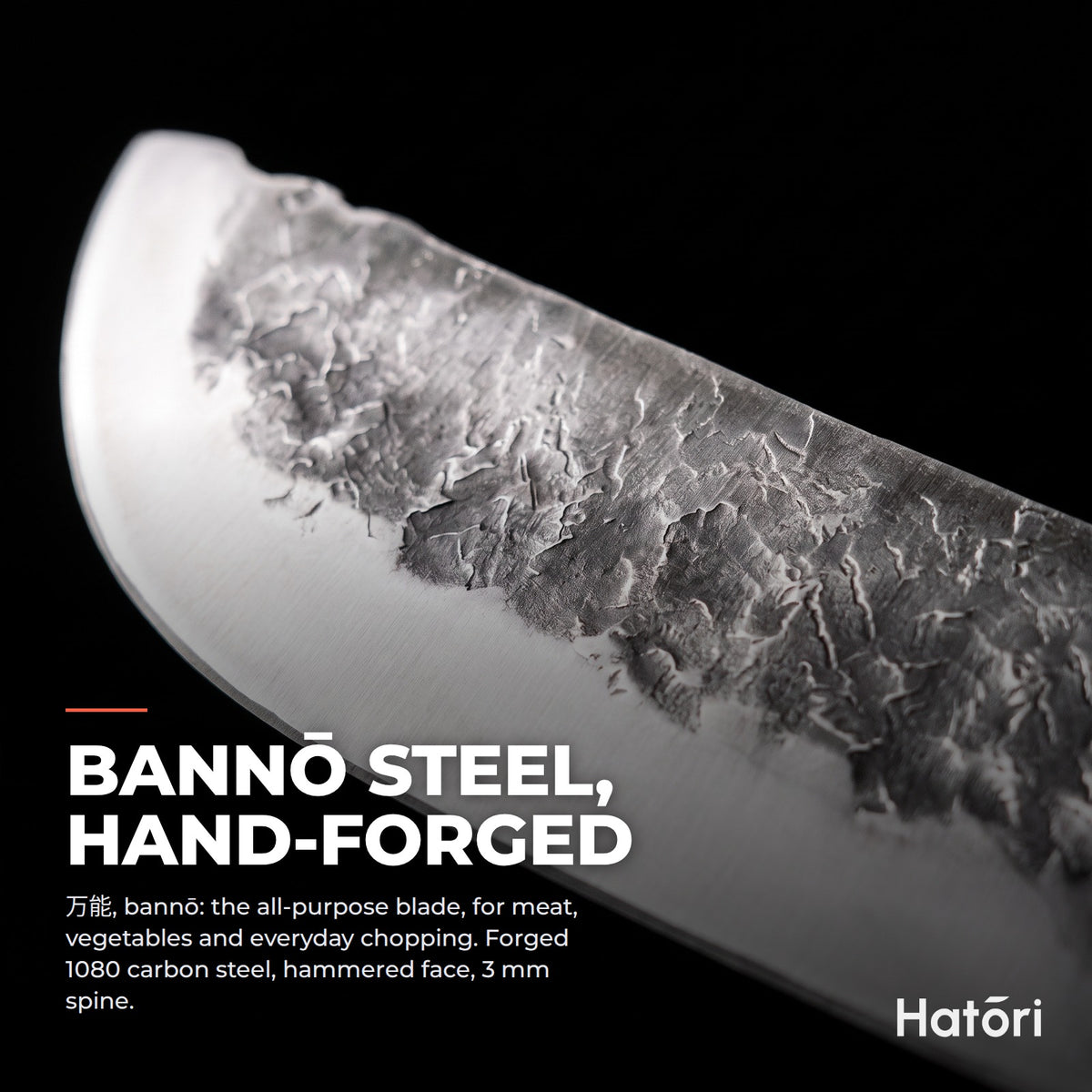 Hatori Kaji 鍛冶 Series – Forged Cleaver 19.5 cm, blade steel