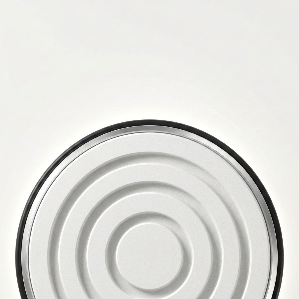 Hatori Kasumi fine polishing disc